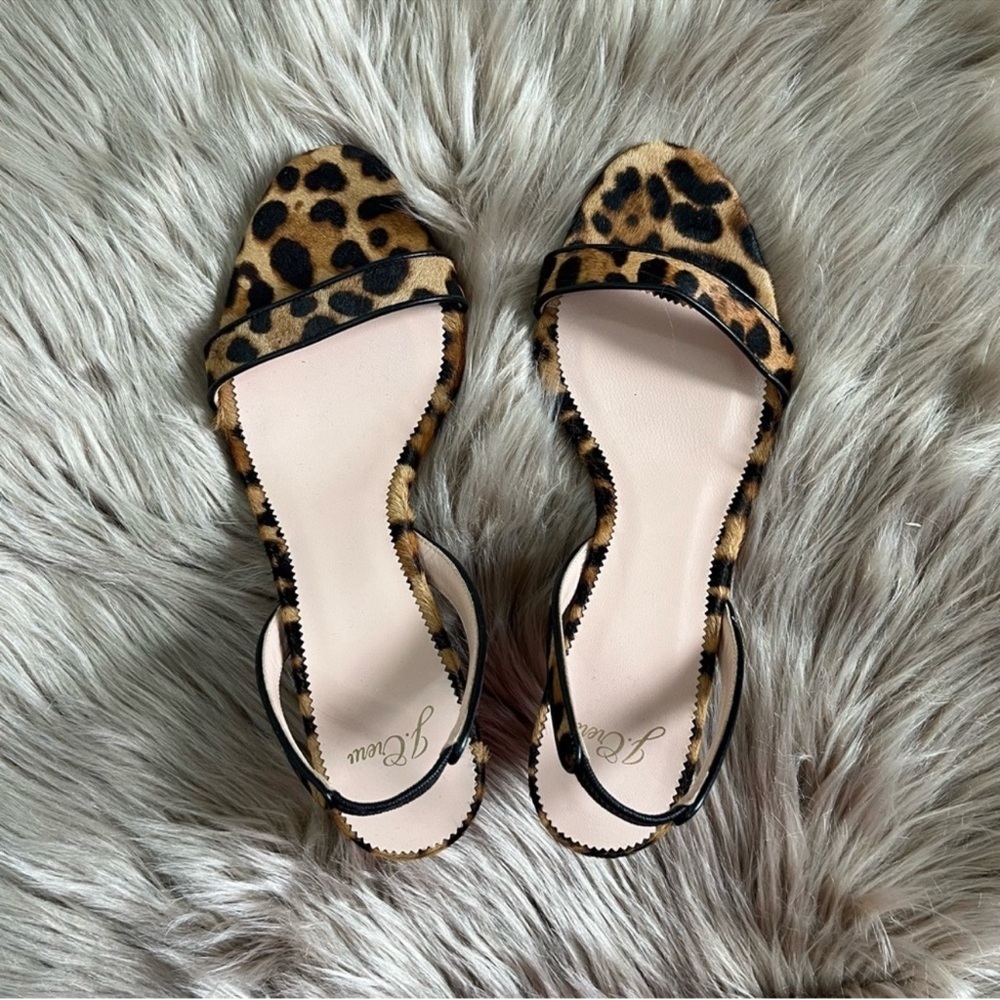 J. Crew Leopard Print Sandals - Picture 4 of 9